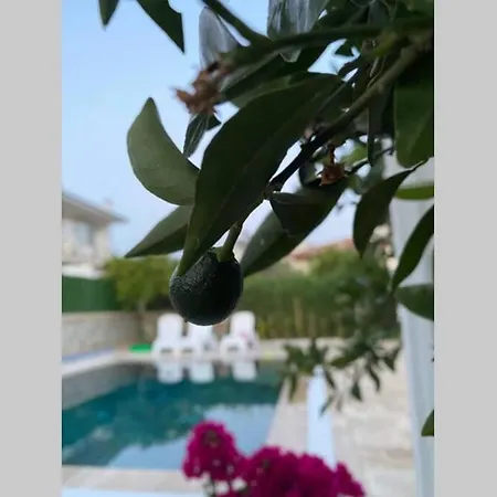 Villa 3+1 Mustakil Havuzlu Fethiye